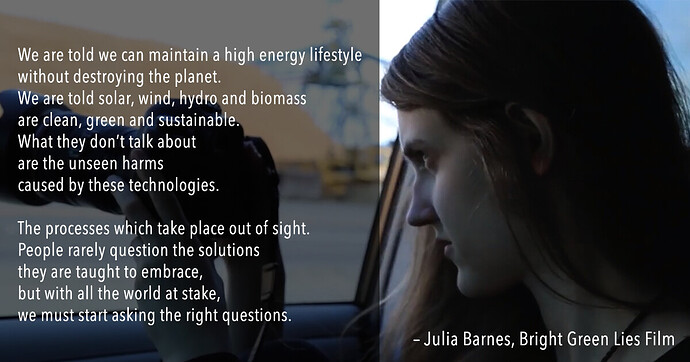 Julia Barnes Quote Bright Green Lies