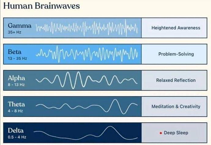 human_brainwaves