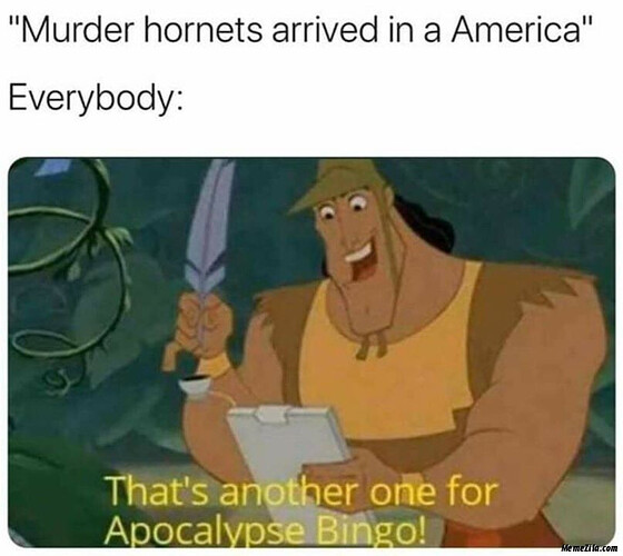 Murder-hornets-arrived-in-America-Meanwhile-everybody-Thats-another-one-for-apocalypse-bingo-meme-3134