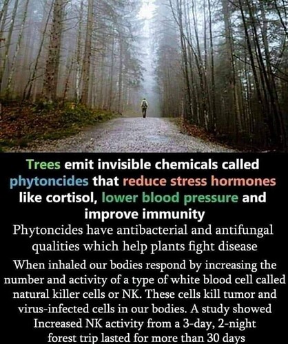 trees.health1