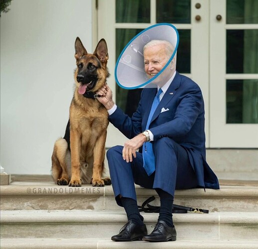 biden dog