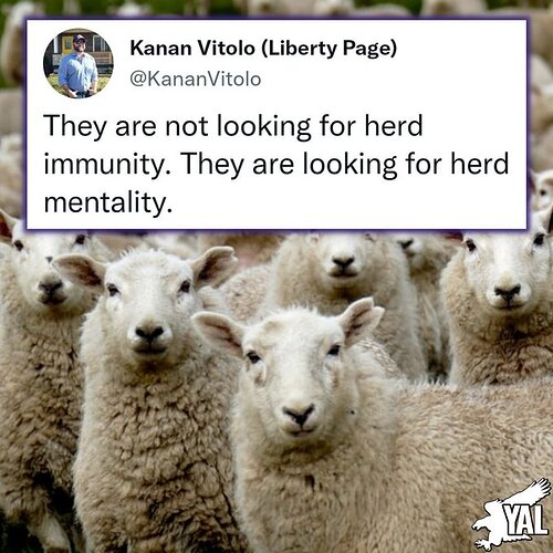 Herd-mentality-FJJfKtmXwAkR5av-1