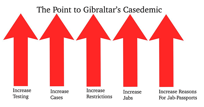 The Point to Gib Casedemic