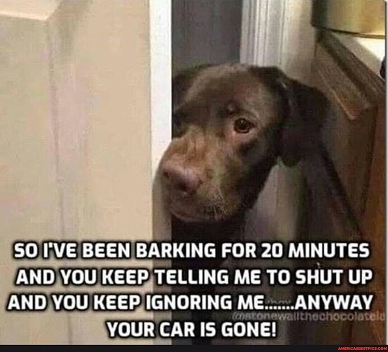 barking.dog
