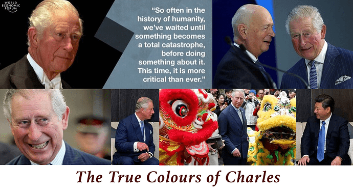 The True Colours of Charles