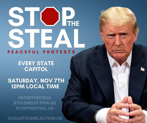 stopthesteal