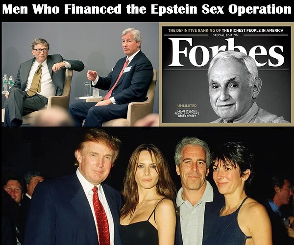 Epstein-financers