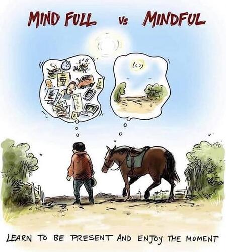 Mindful vs mind FULL