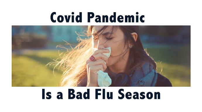 Covid is the flu