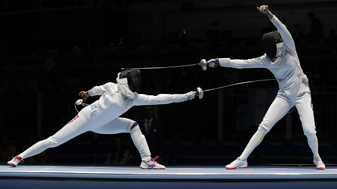 Fencing-428718212