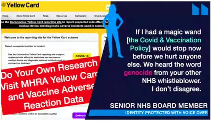 Senior NHS Board Member Whistleblower contacts UK Column