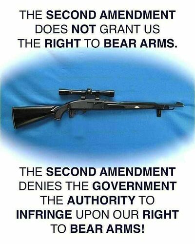 gun.rights