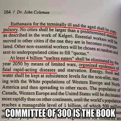 Committee 300