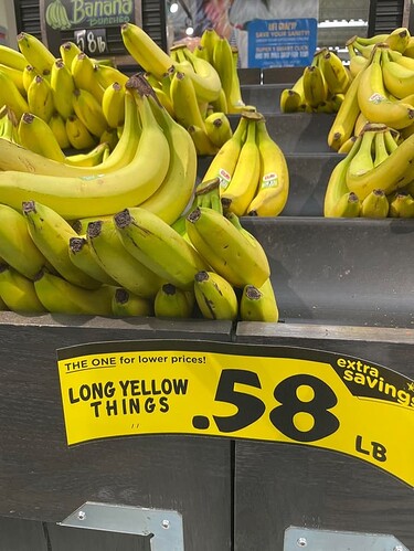 Long yellow things