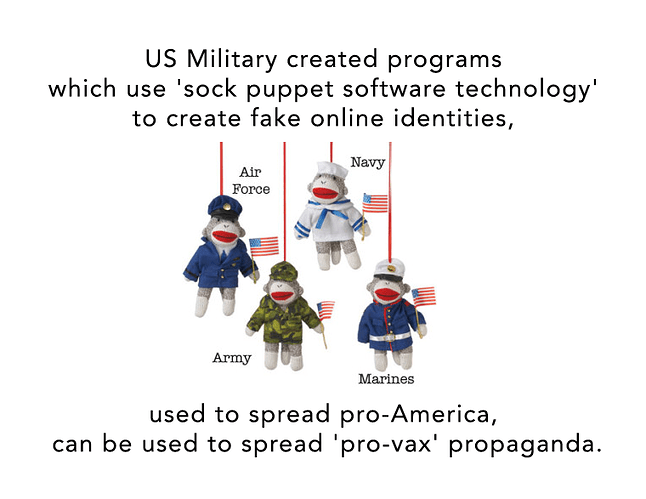 US Sock Puppet Manipulation