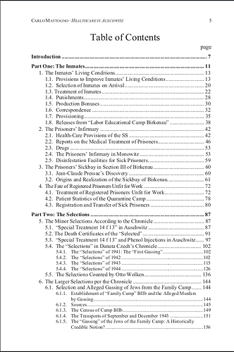 screenshot-auto_1771779852