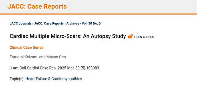 CardiacMicroScars1