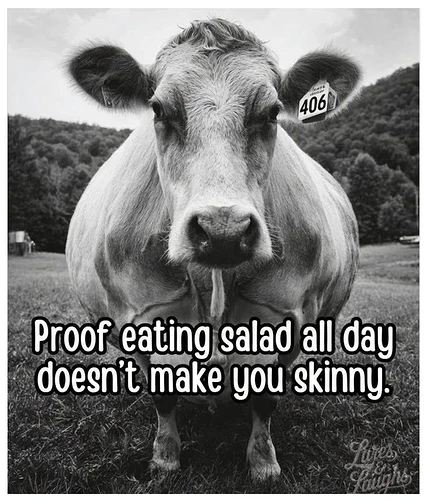 No salad