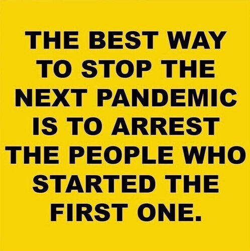scamdemic