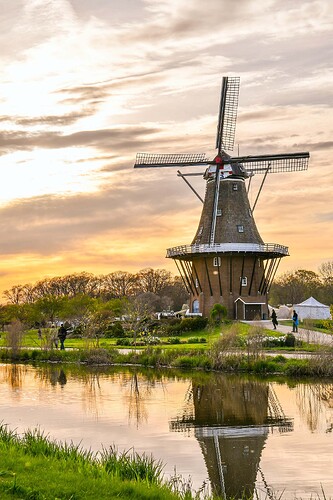 Windmills-Amsterdam