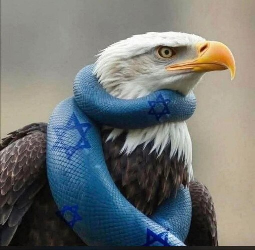 photo_2026-03-07_04-46-33