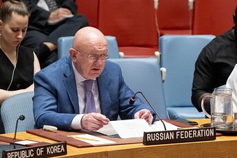 UN.SecurityCouncil