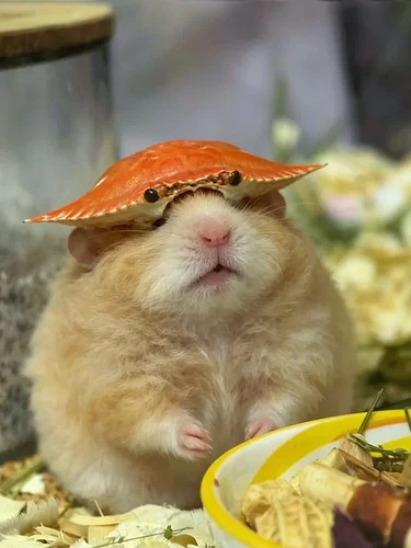 On his head_