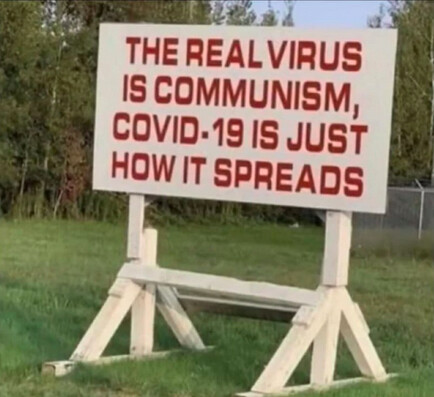 the real virus