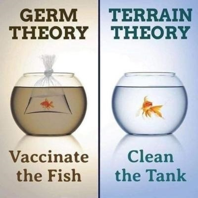 Germ theory wrong