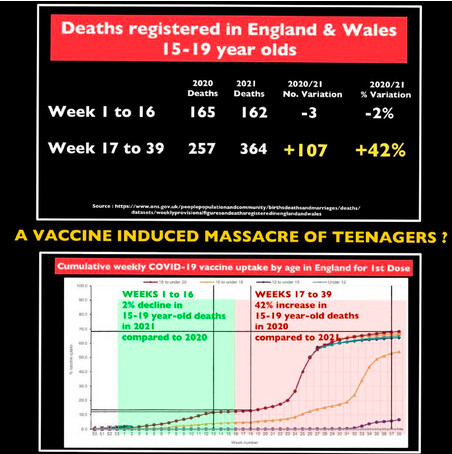 Teen Deaths