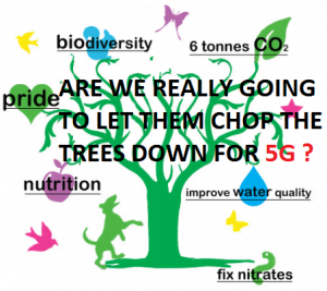5G-Trees