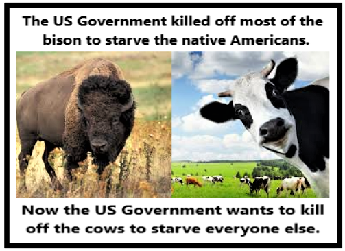 Bison  and cattle