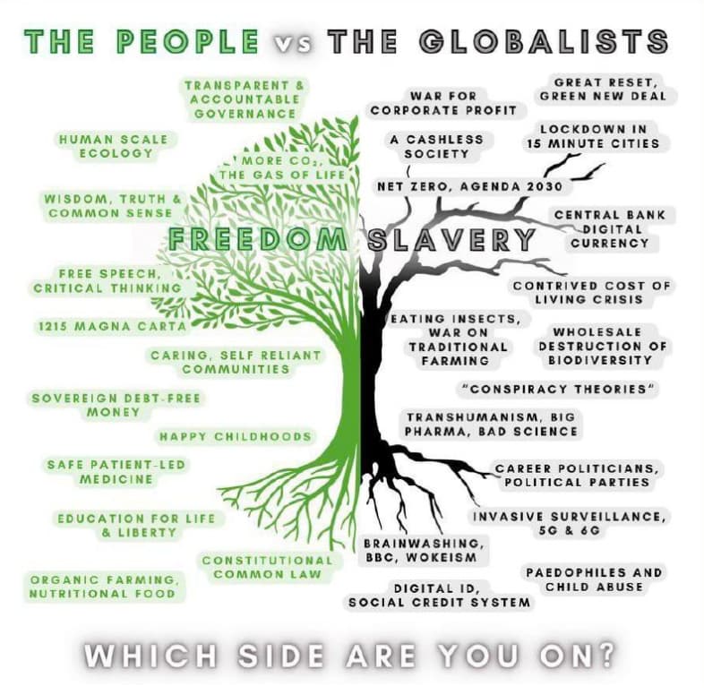 Freedom Slavery Tree - Where are you hanging?