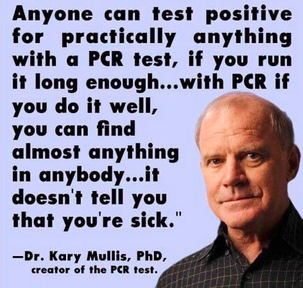 Mullis Quote on PCR Test