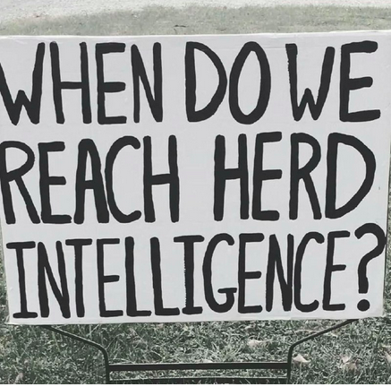 herd intelligence