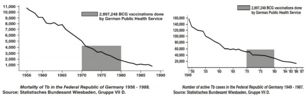 Graph-TB-Mortality-and-Cases-Germany