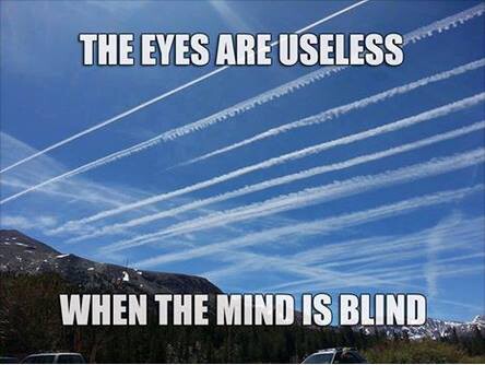 CHEMTRAILS