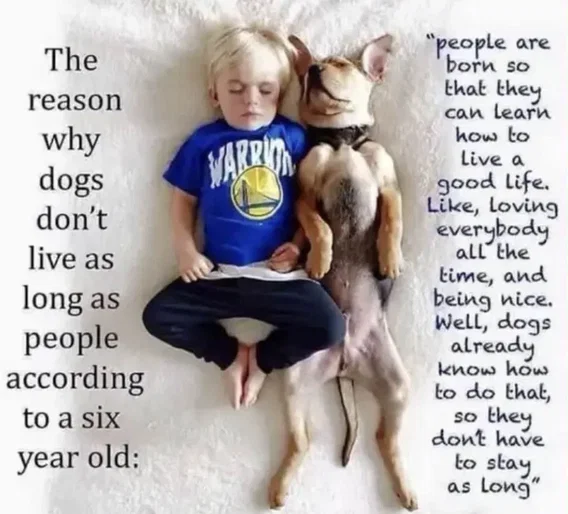 Dogs vs people