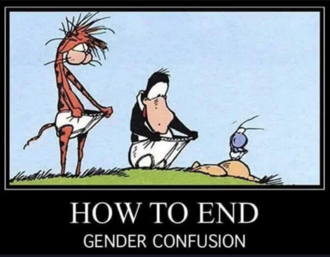 End gender confusion
