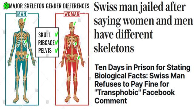 SwissNews