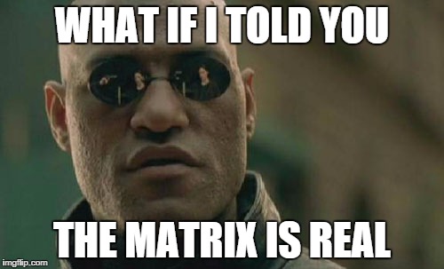 Morpheus-meme-matrix-is-real-2022860297